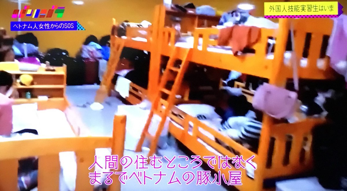 今治タオル 外国人実習生