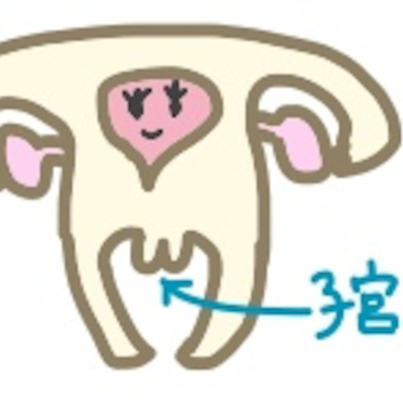 福さん式 ブログ
