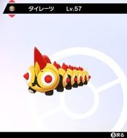 タイレーツ 育成